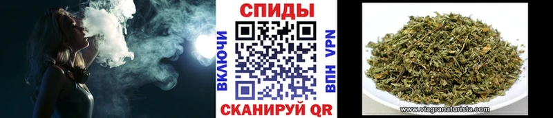 Бутират буратино  Купить где  Нижняя Тура 