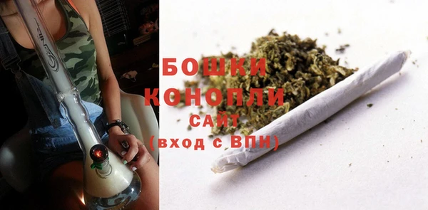 стафф Елабуга