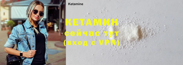 прущие грибы Ступино