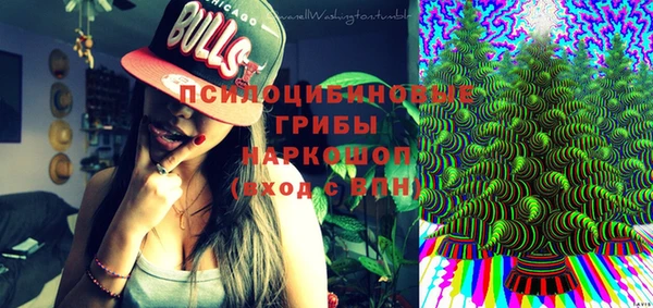 дурь Елизово
