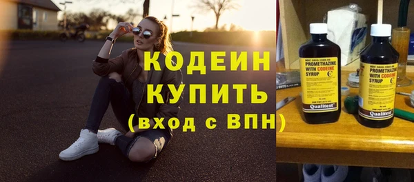 дурь Елизово