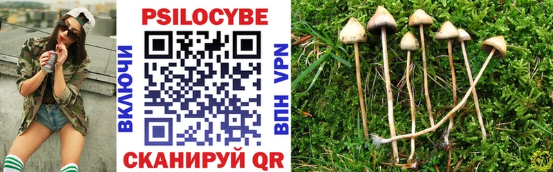 Купить закладки  Нижняя Тура  Псилоцибиновые грибы Magic Shrooms 